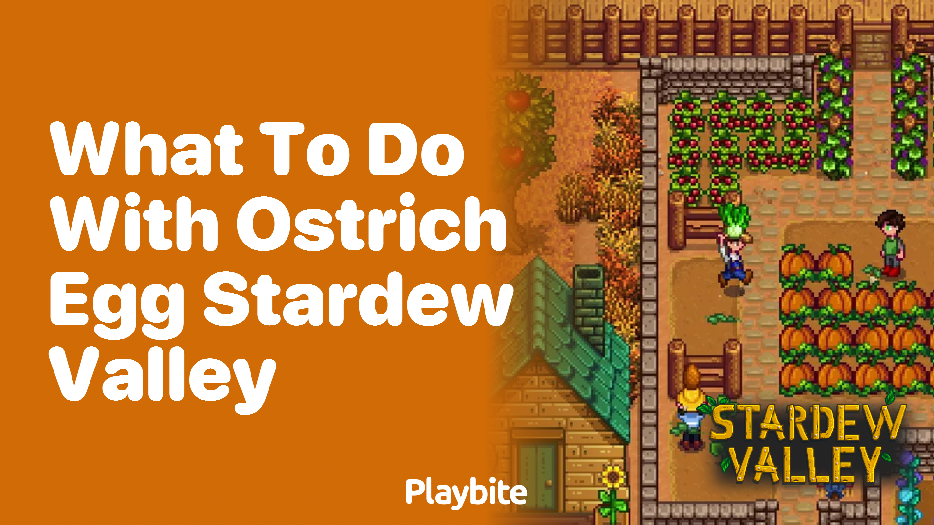 What to do with an Ostrich Egg in Stardew Valley?