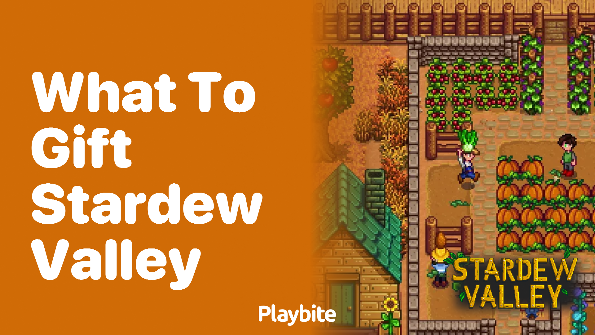 What to Gift in Stardew Valley