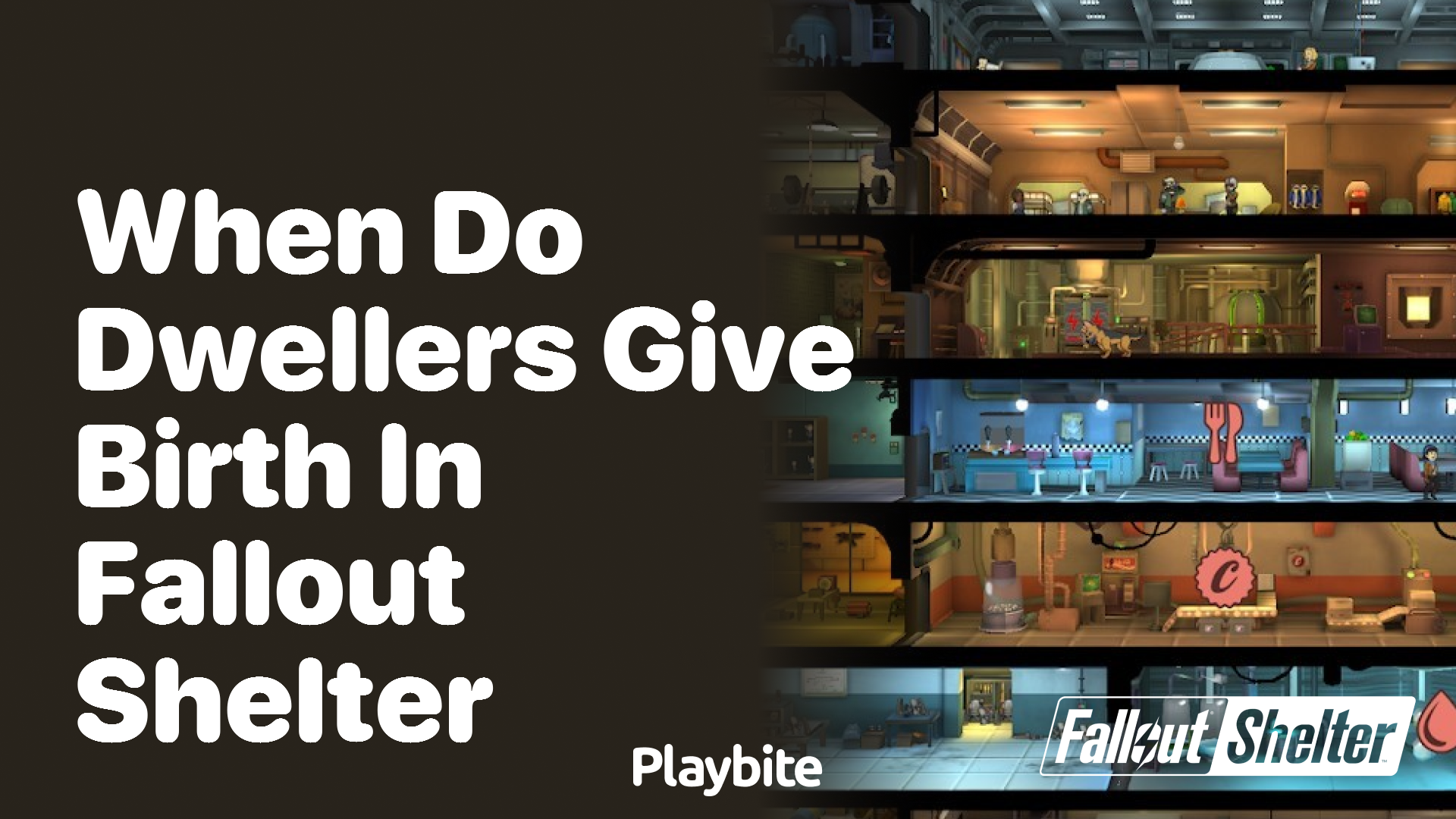 When do dwellers give birth in Fallout Shelter?