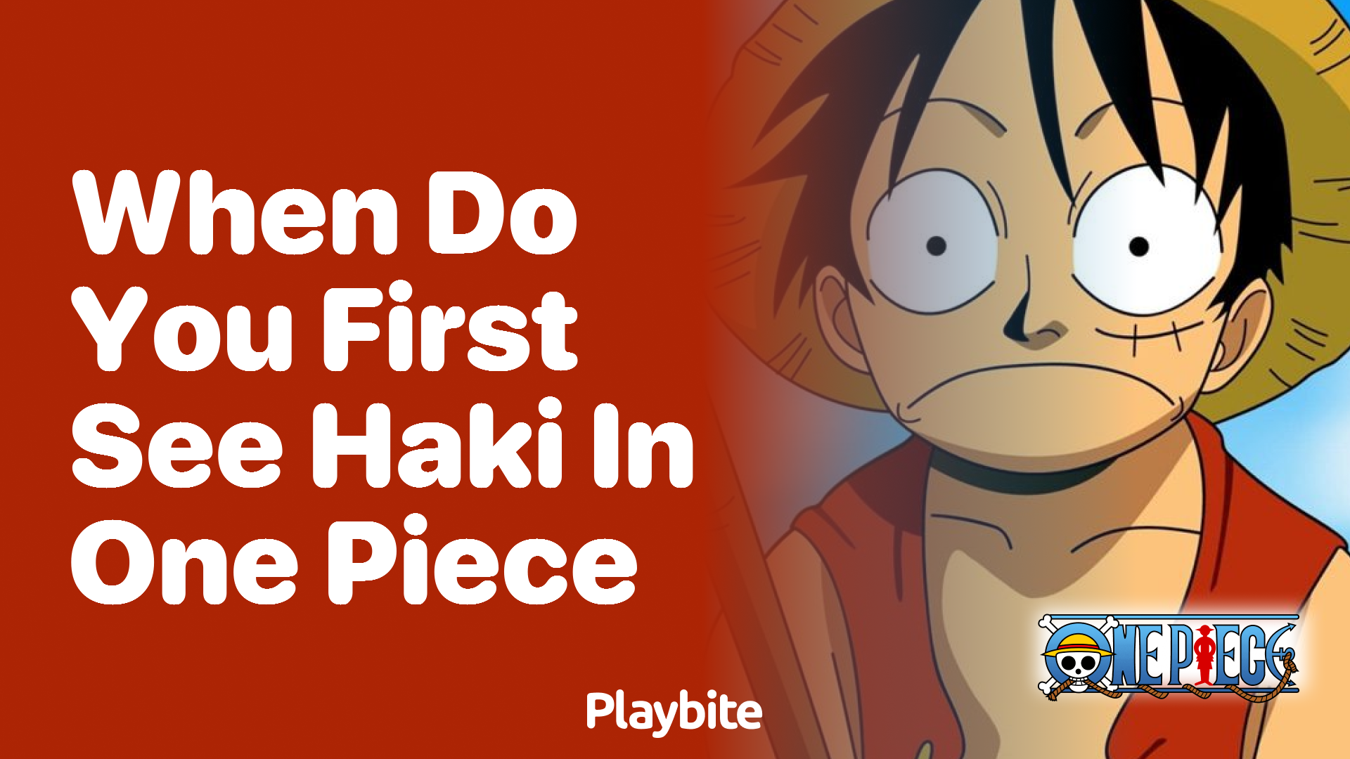 When do you first see Haki in One Piece?