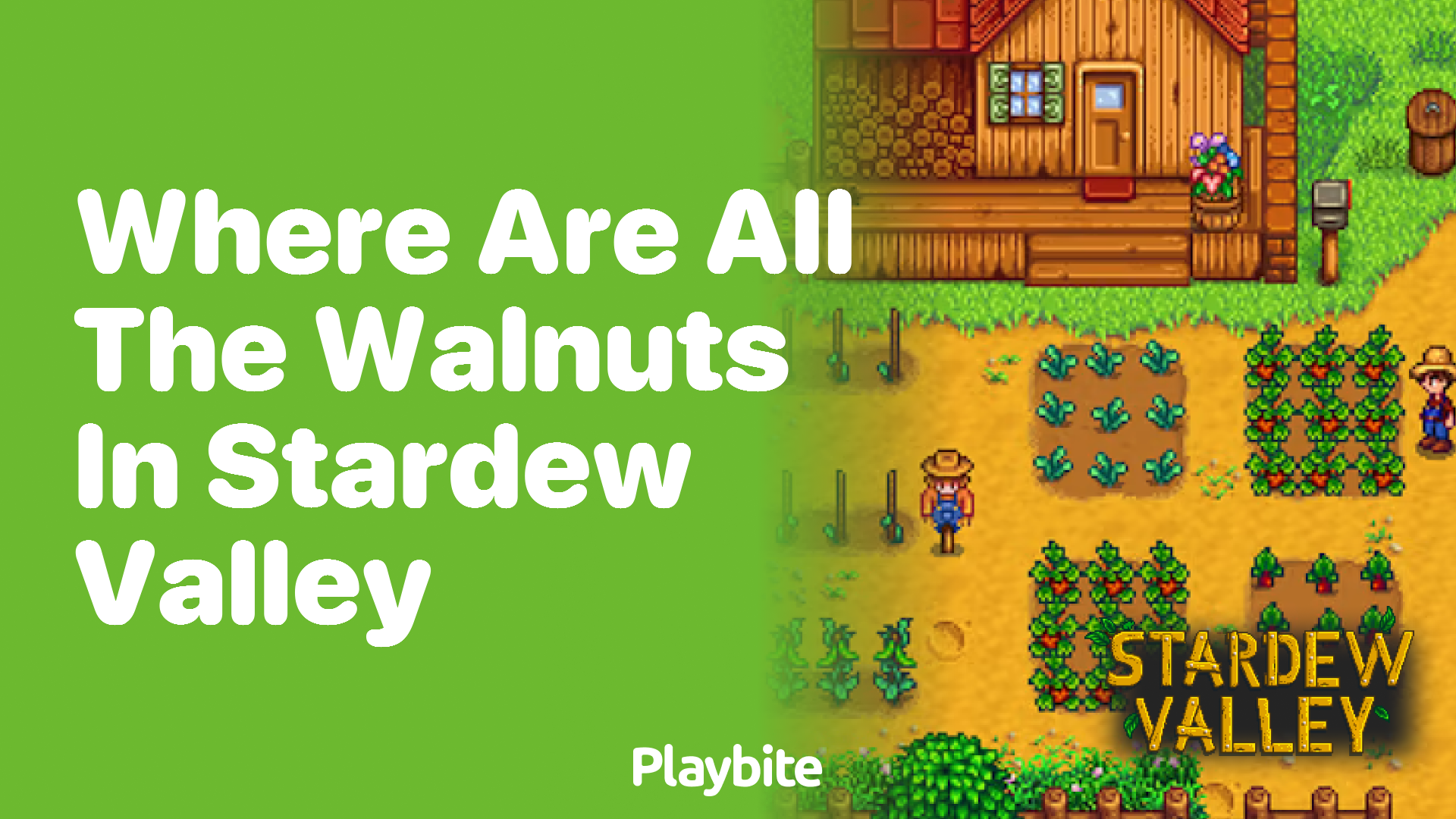 Where Are All the Walnuts in Stardew Valley?