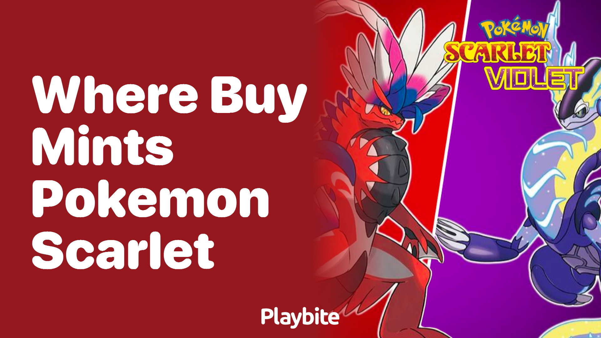 Where can I buy mints in Pokemon Scarlet?