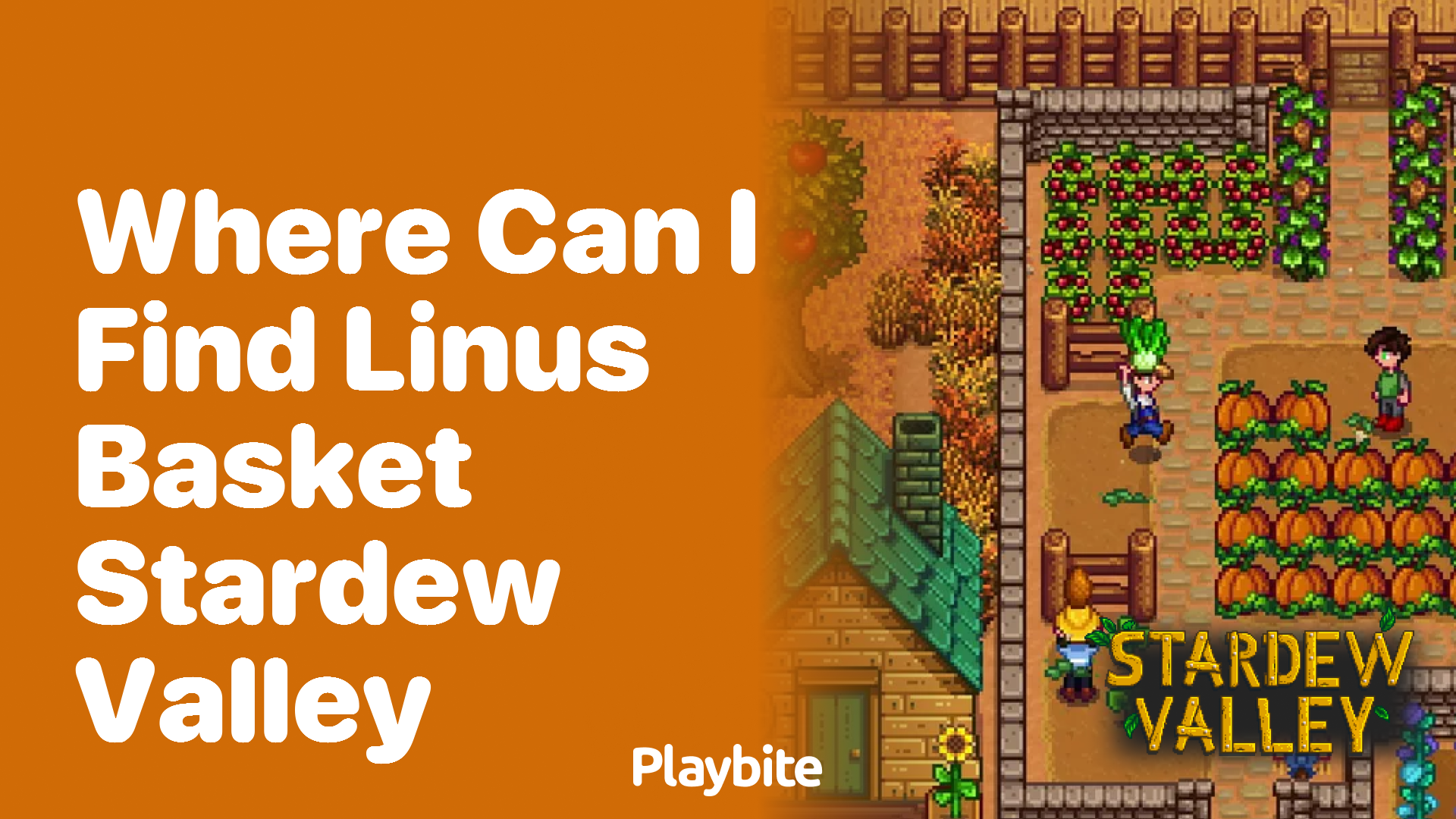 Where can I find Linus&#8217; basket in Stardew Valley?