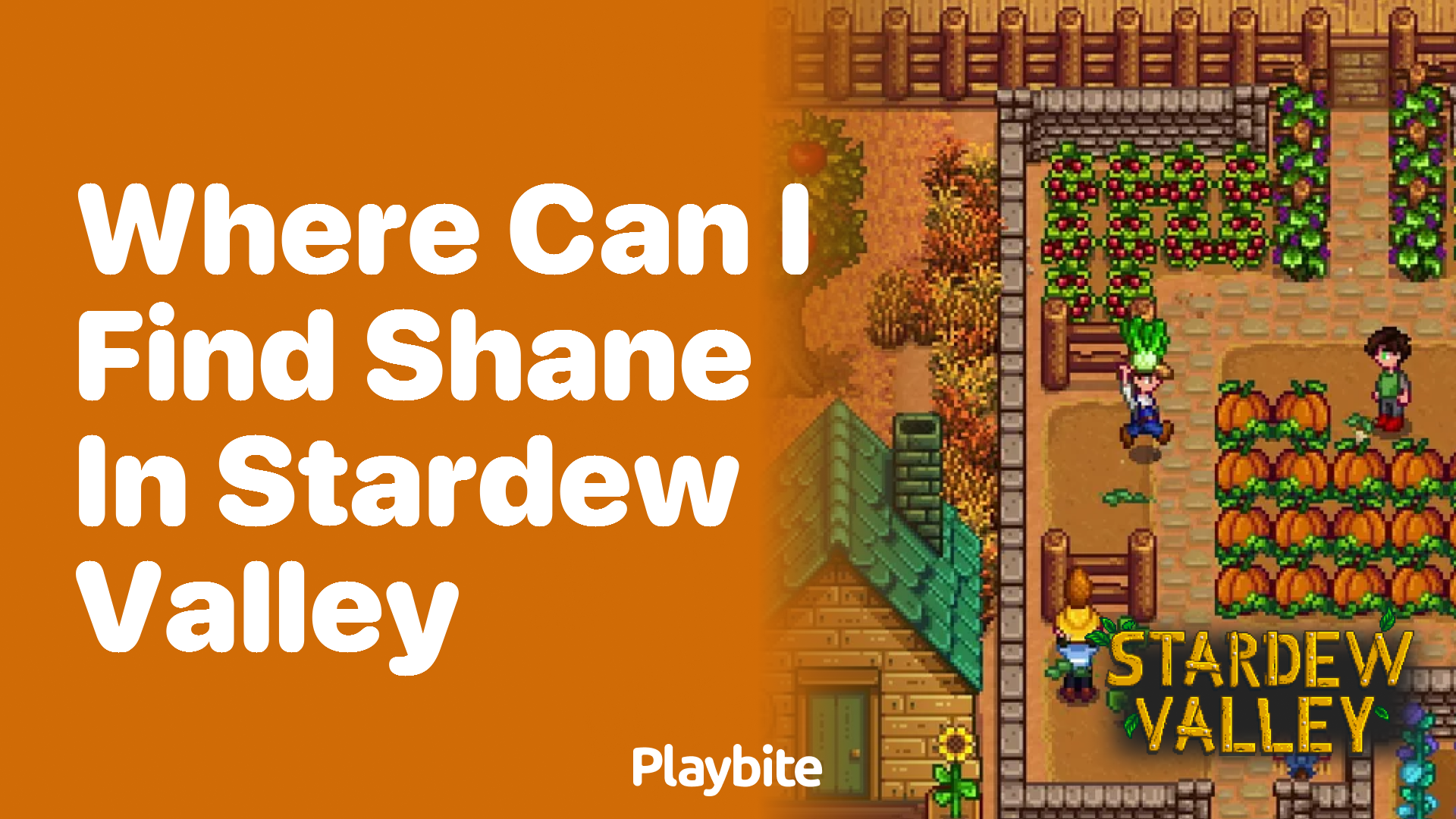 Where can I find Shane in Stardew Valley?