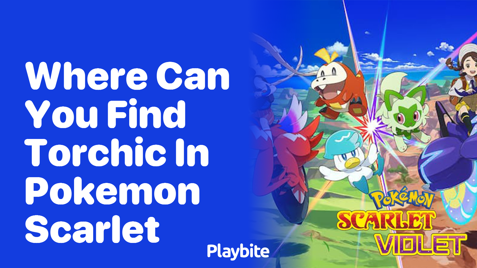 Where can you find Torchic in Pokemon Scarlet?