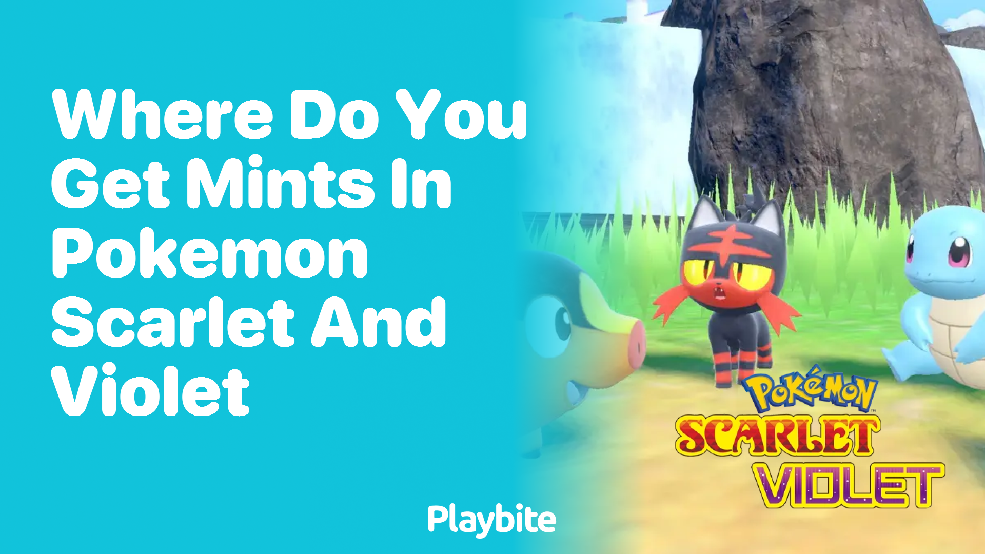 Where do you get Mints in Pokemon Scarlet and Violet?