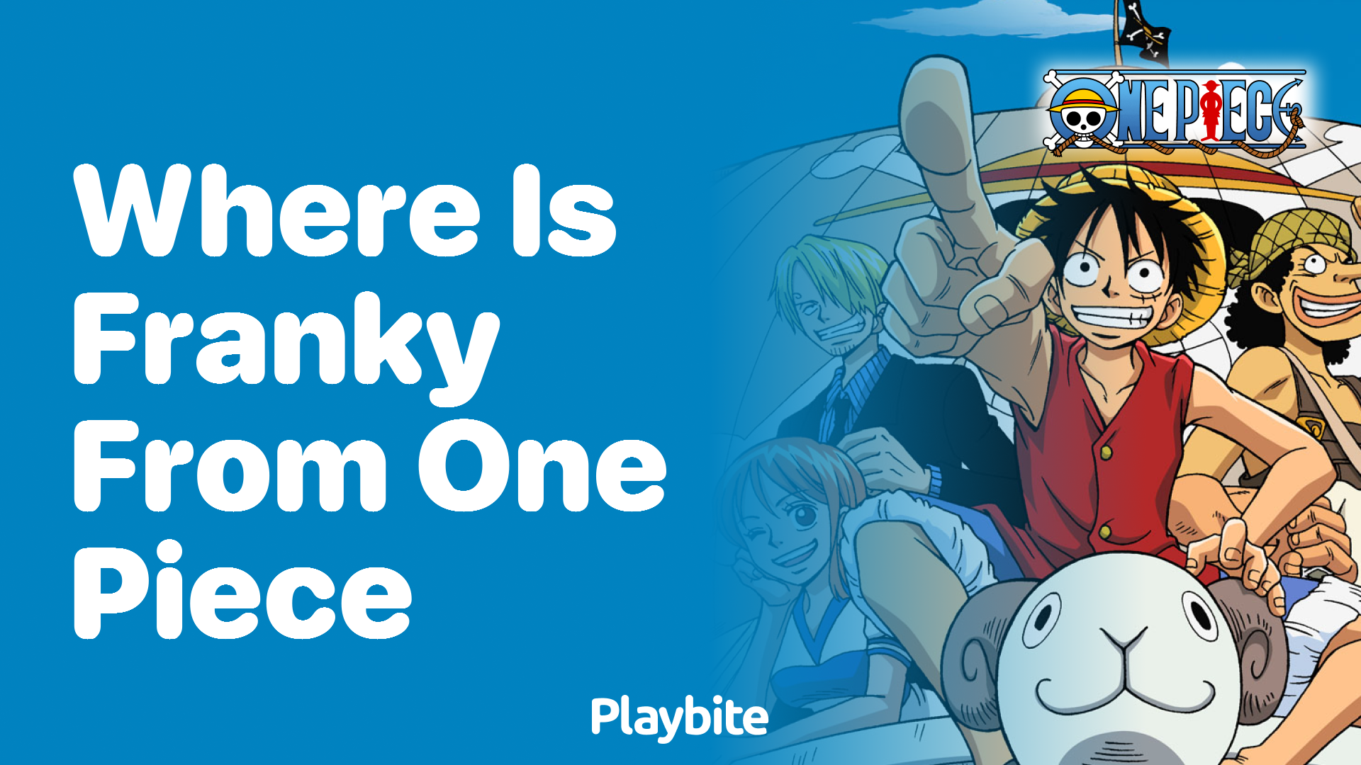 Where Is Franky From in One Piece?