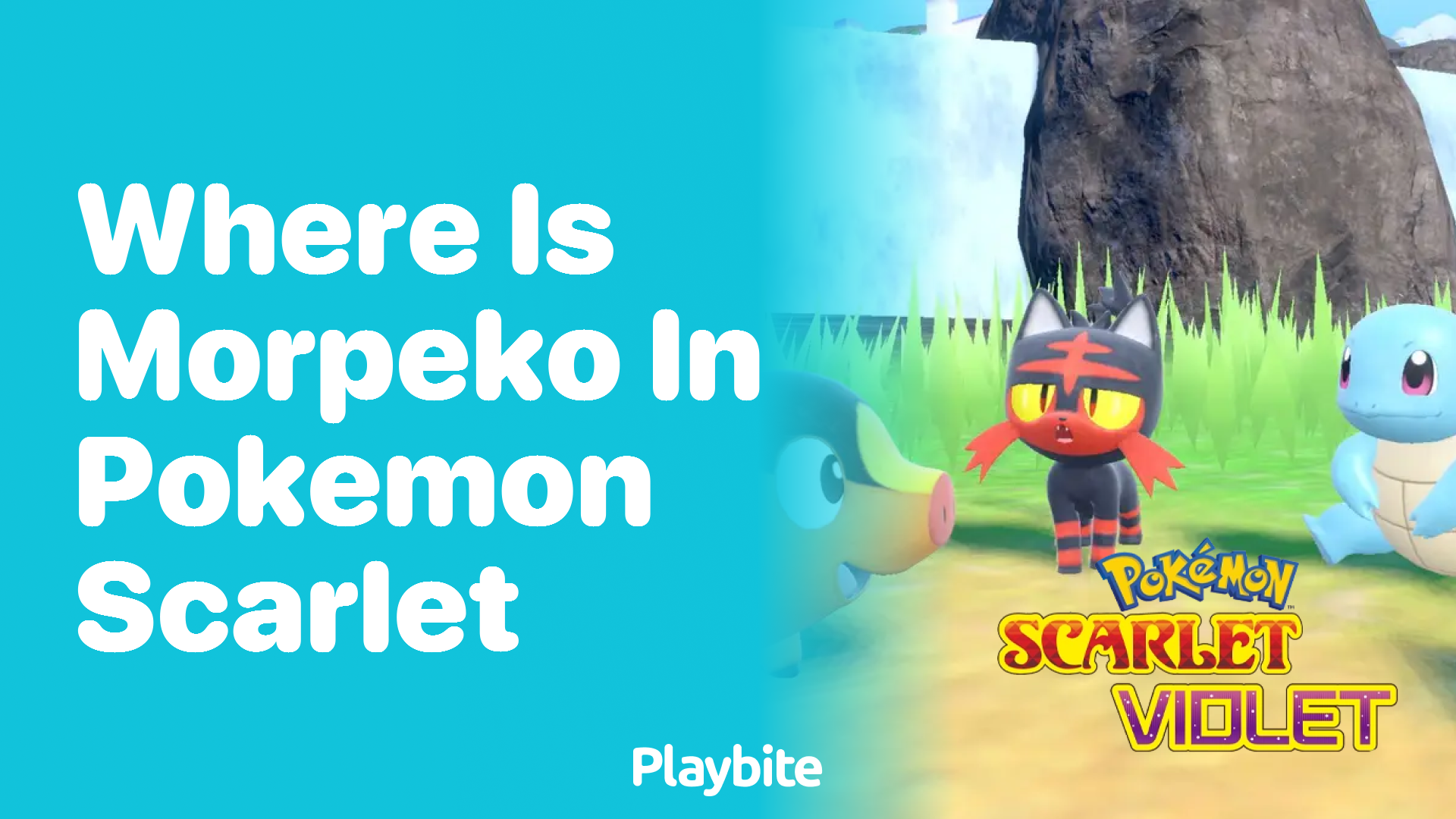 Where is Morpeko in Pokémon Scarlet?