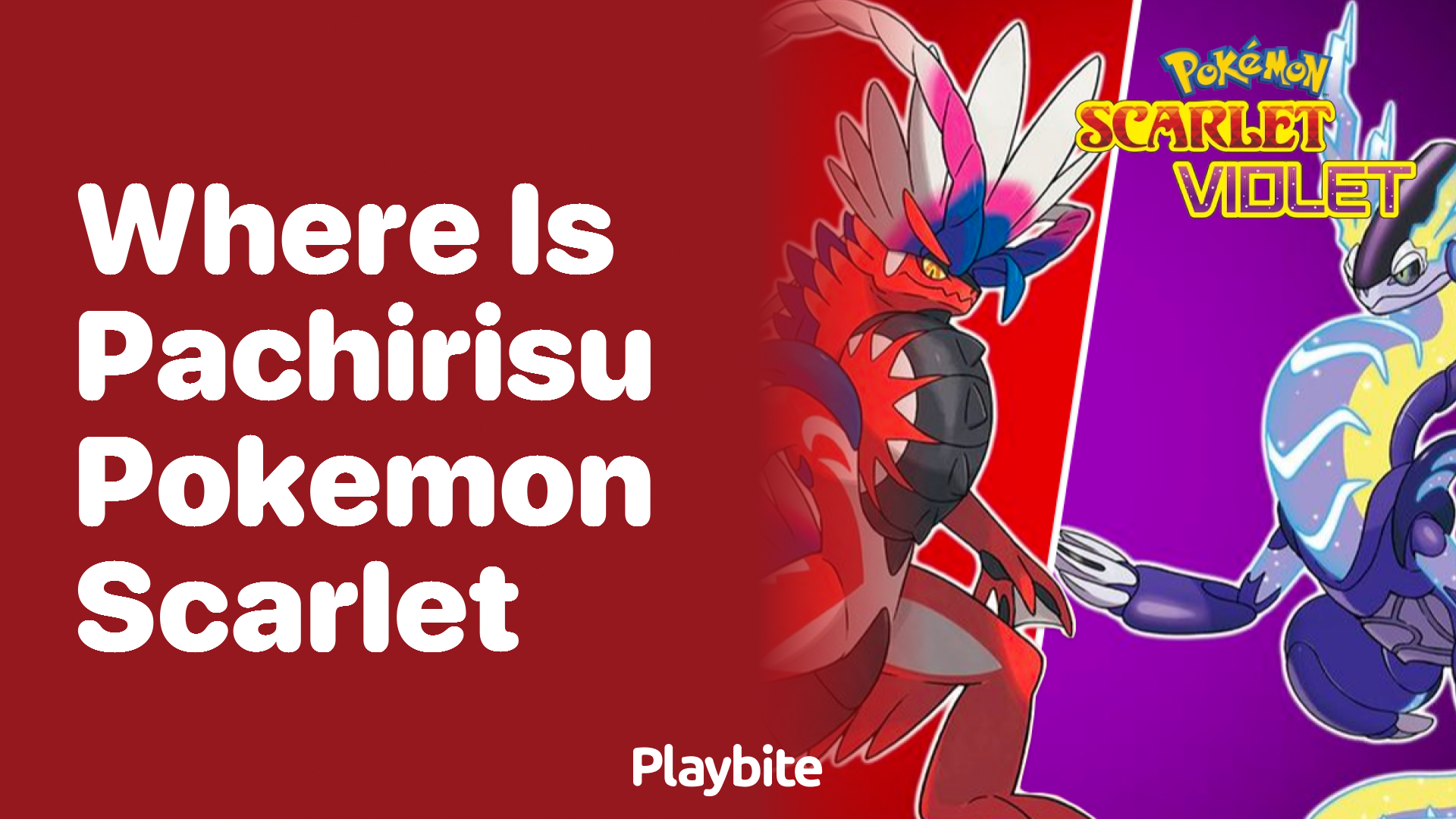 Where is Pachirisu in Pokemon Scarlet?