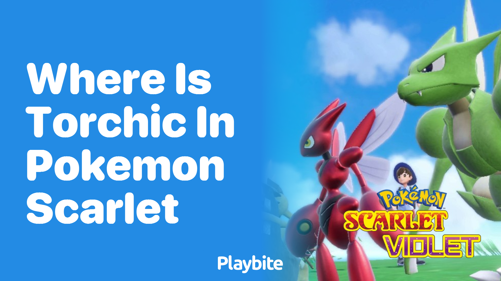 Where is Torchic in Pokemon Scarlet?