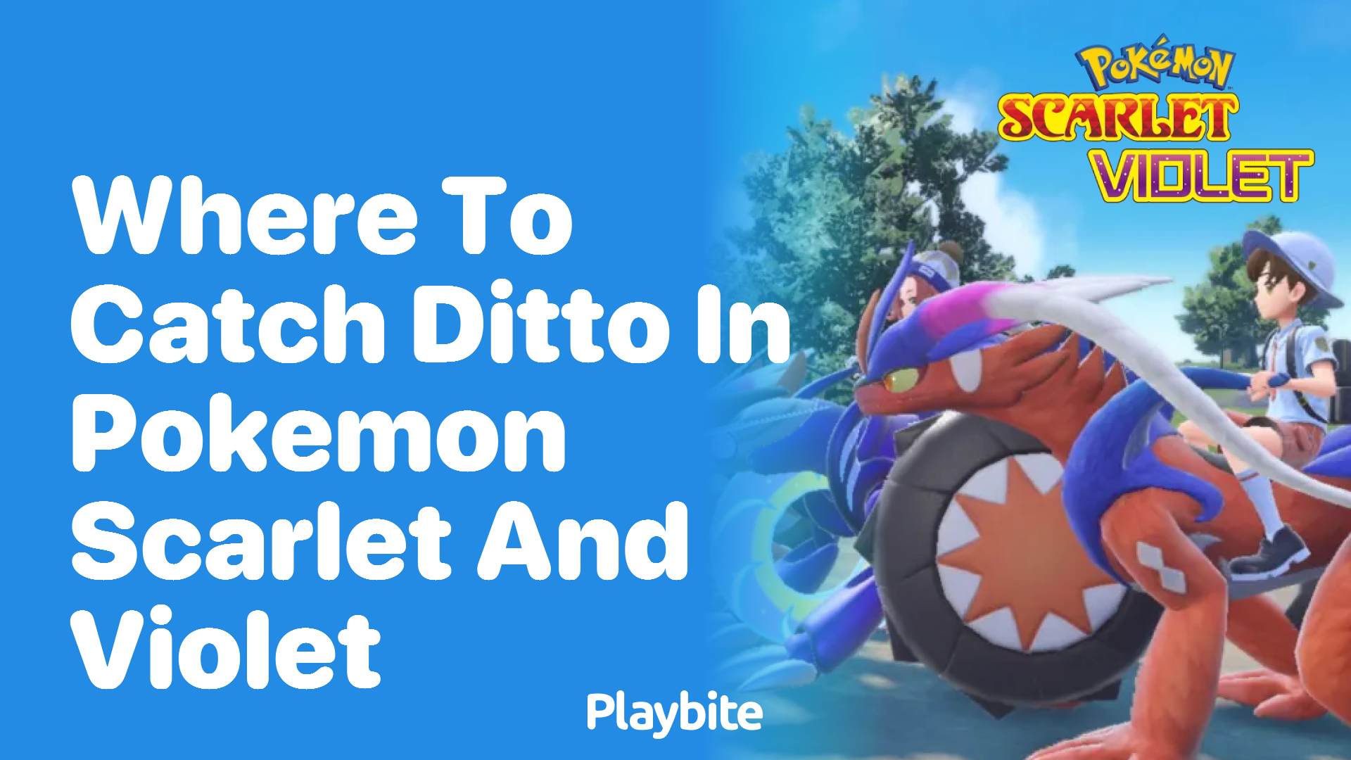 Where to Catch Ditto in Pokémon Scarlet and Violet