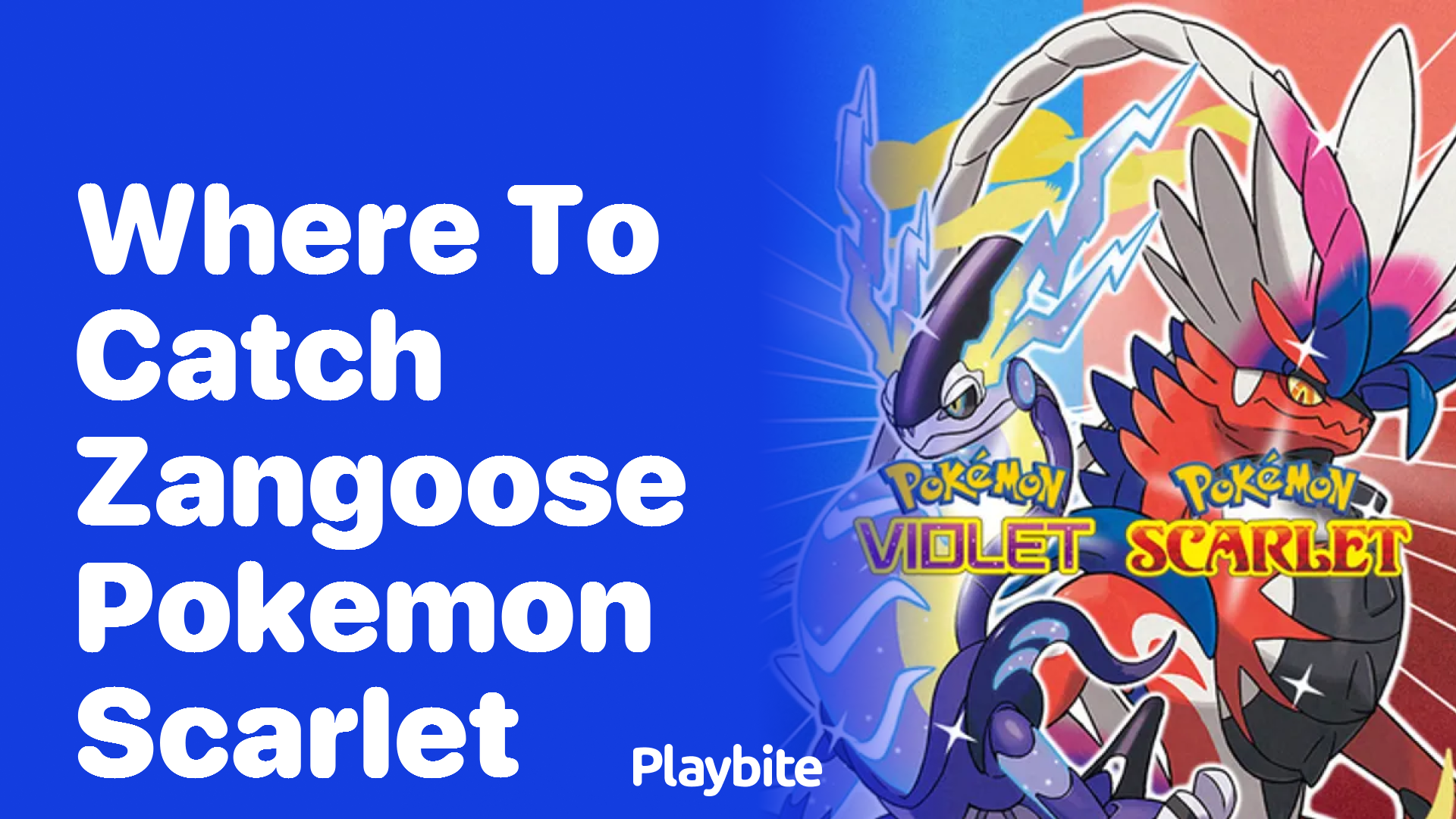 Where to catch Zangoose in Pokémon Scarlet