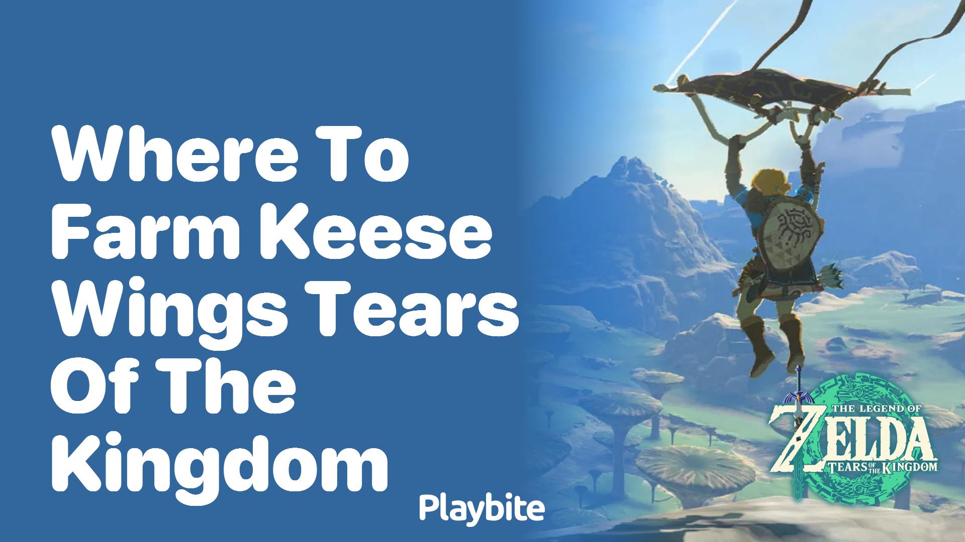 Where to Farm Keese Wings in Tears of the Kingdom - Playbite