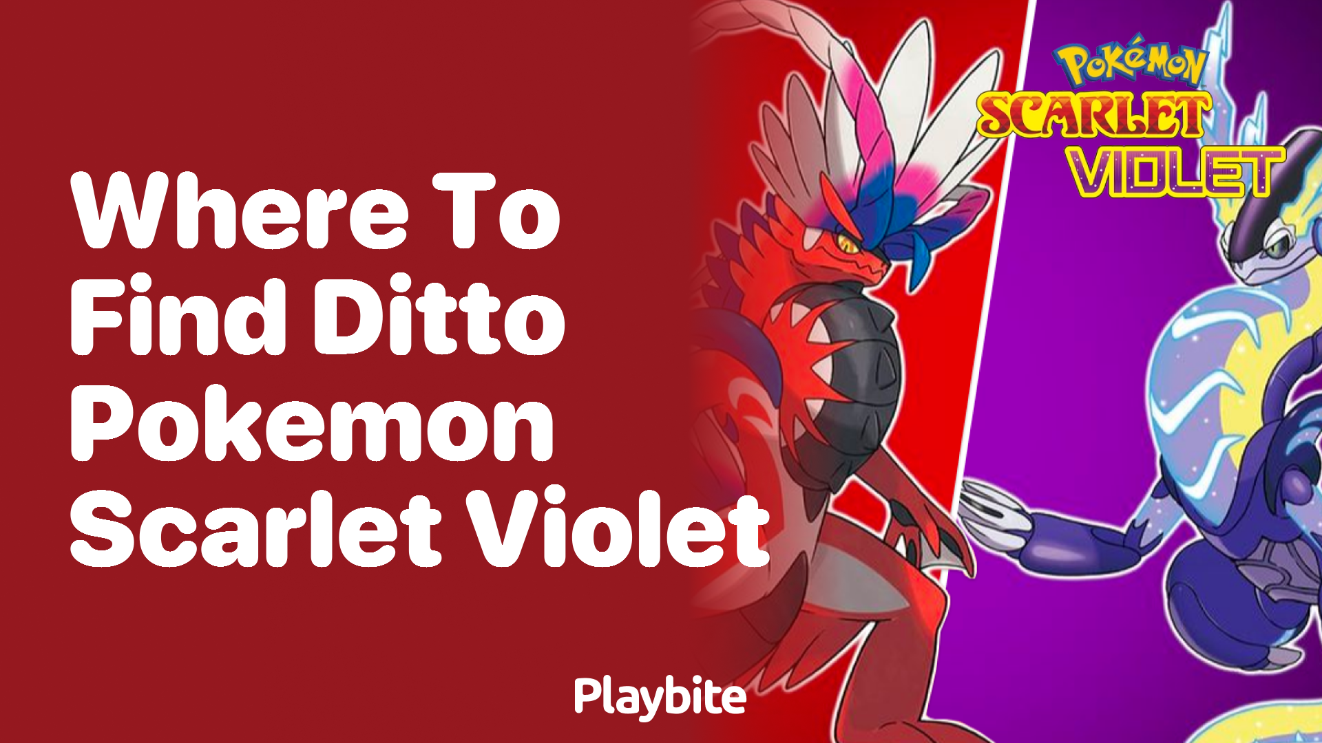 Where to Find Ditto in Pokemon Scarlet &#038; Violet