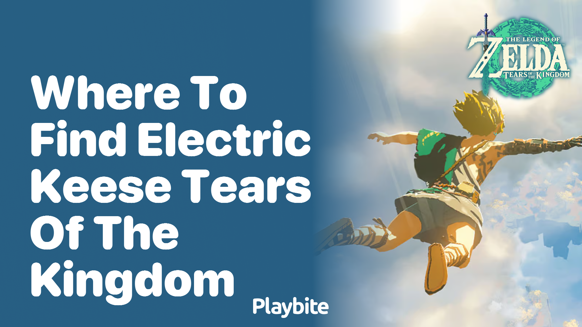 Where to Find Electric Keese in Tears of the Kingdom - Playbite