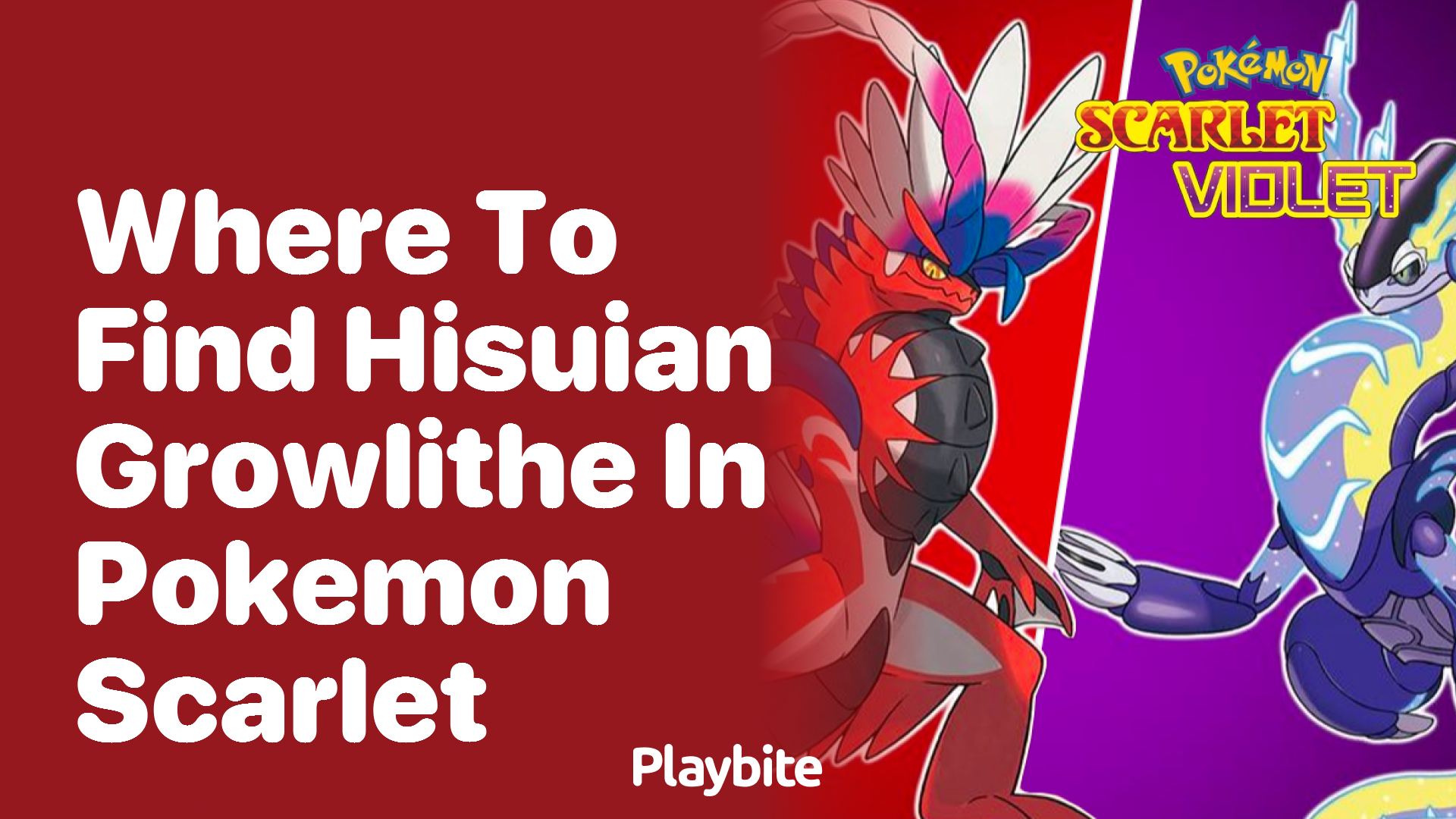 Where to Find Hisuian Growlithe in Pokémon Scarlet