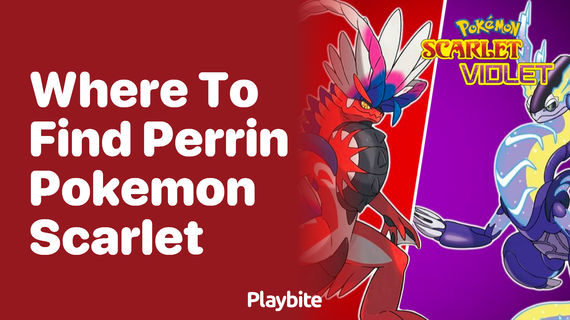 Where to find Perrin in Pokemon Scarlet