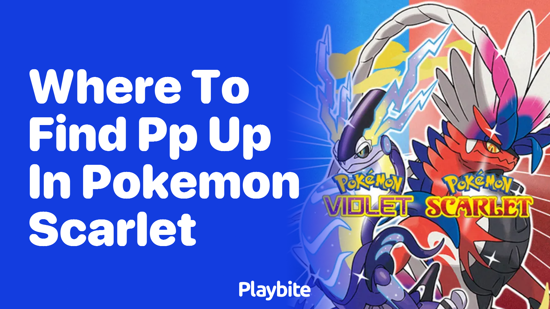 Where to find PP Up in Pokémon Scarlet