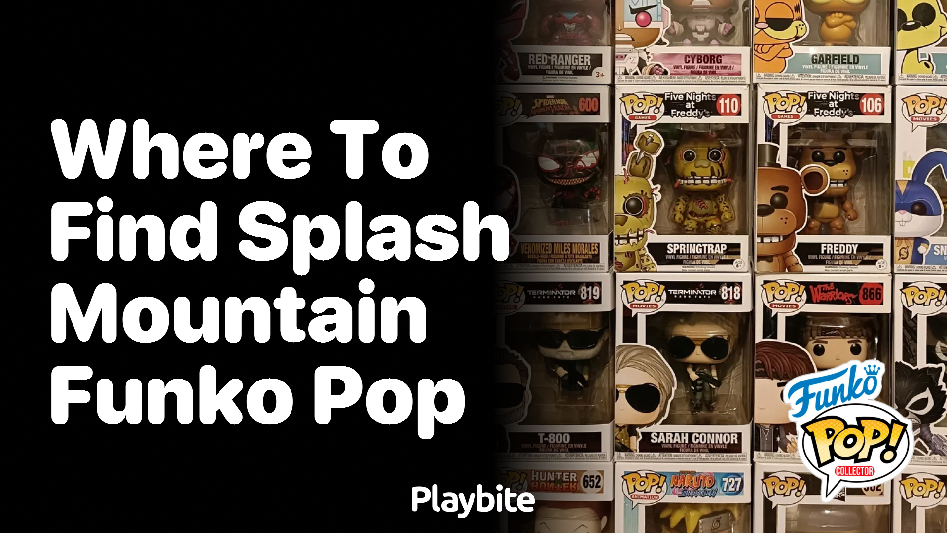 Where to Find Splash Mountain Funko Pop