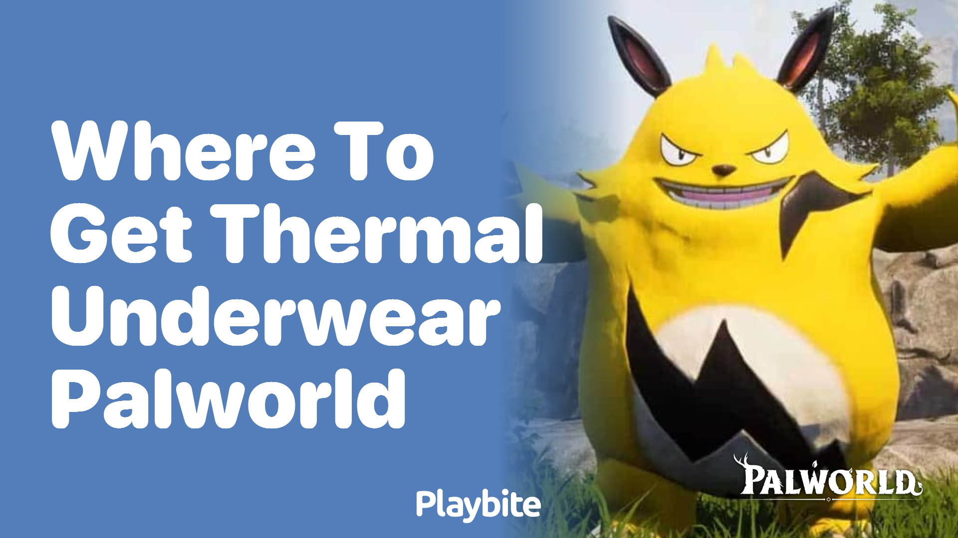 Where to Get Thermal Underwear in Palworld Playbite