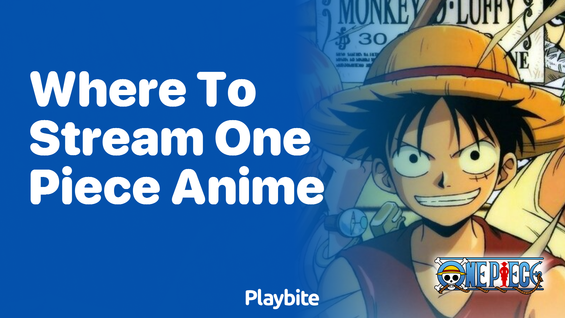 Where to Stream One Piece Anime: A Guide for Fans - Playbite