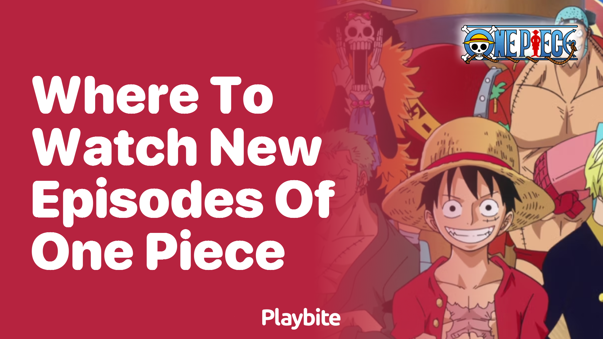 Where to Watch New Episodes of One Piece