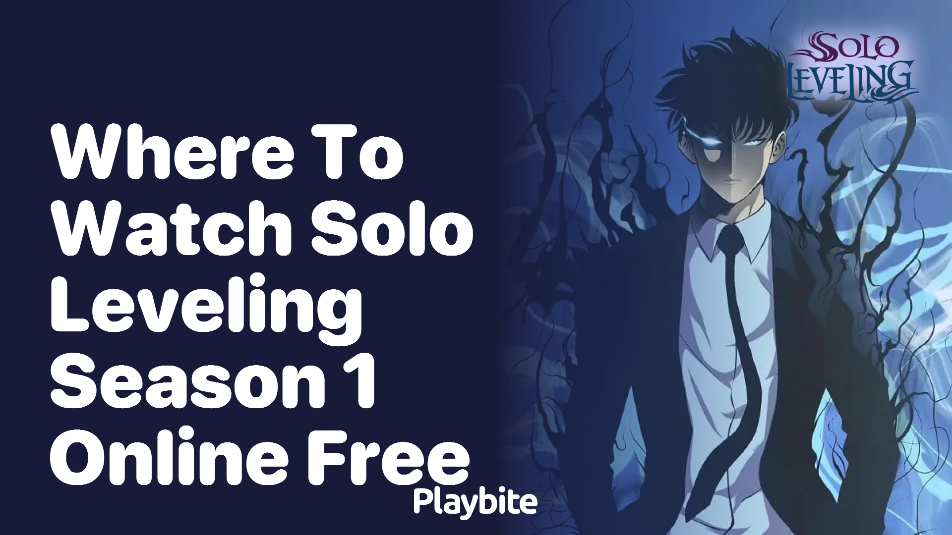 Where to Watch Solo Leveling Season 1 Online for Free - Playbite