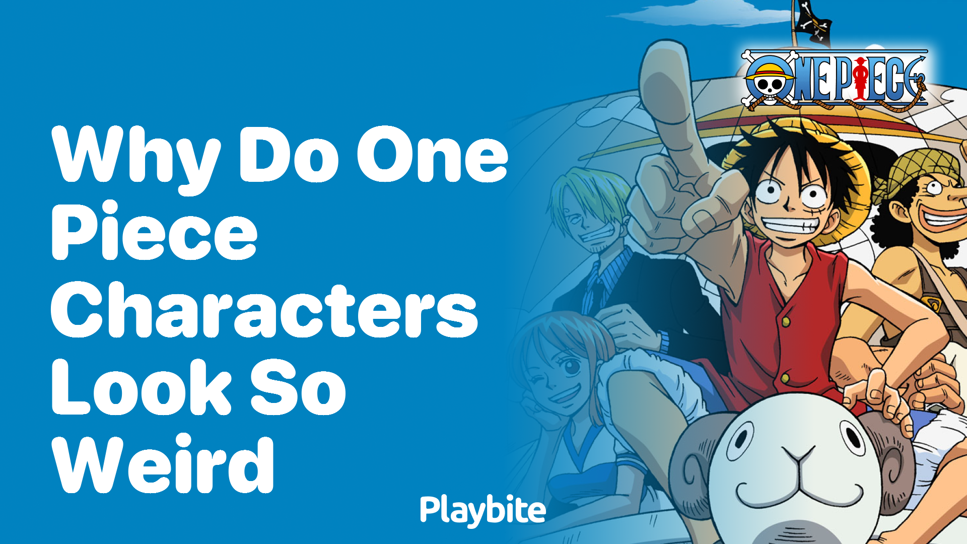 Why Do One Piece Characters Look So Unique?