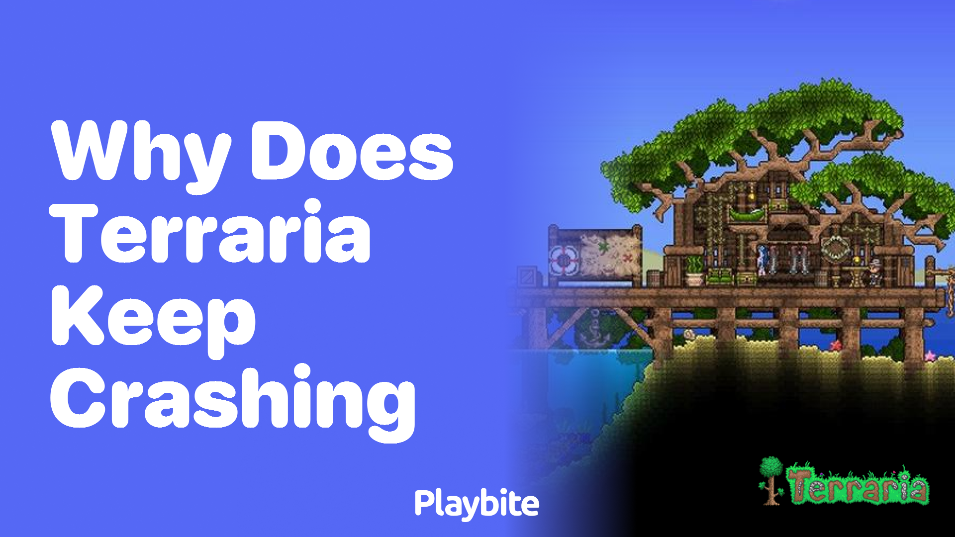 Why Does Terraria Keep Crashing?