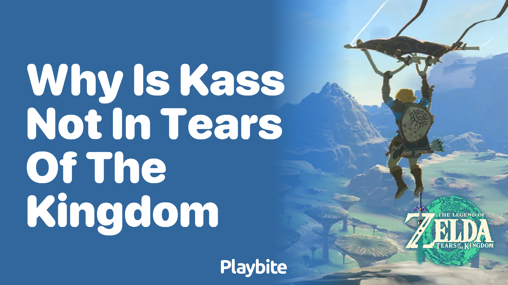 Why Is Kass Not in Tears of the Kingdom? - Playbite