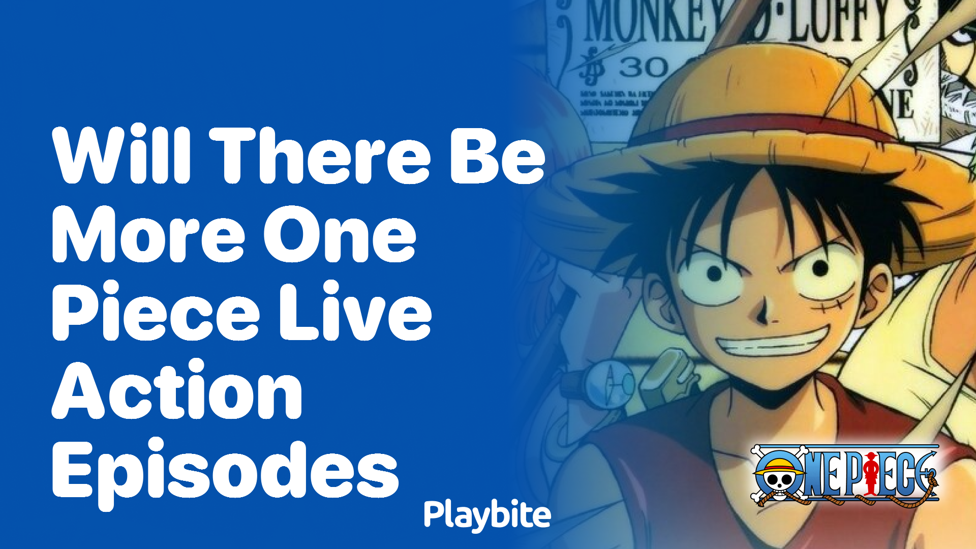 Will There Be More One Piece Live Action Episodes?