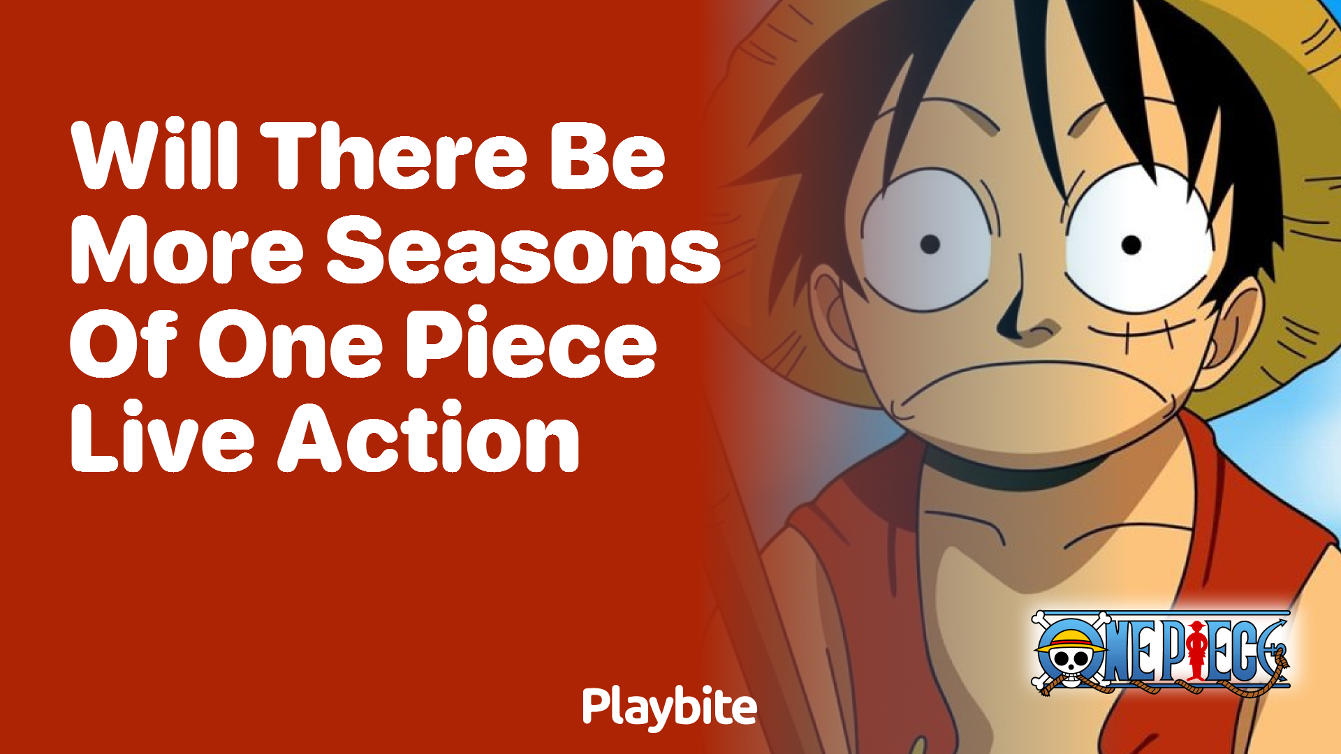 Will There Be More Seasons of One Piece Live Action?