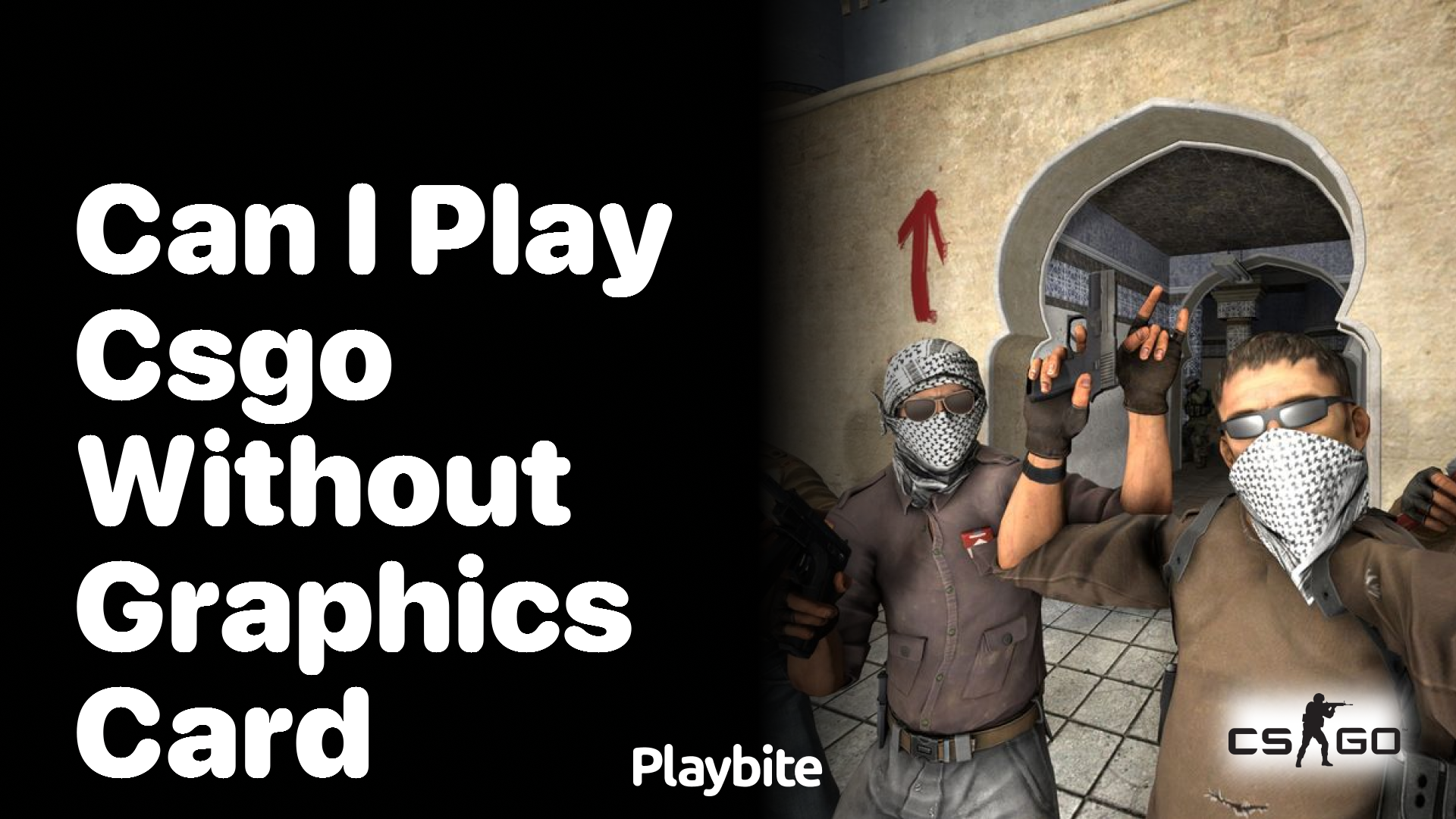 Can I play CS:GO without a graphics card?