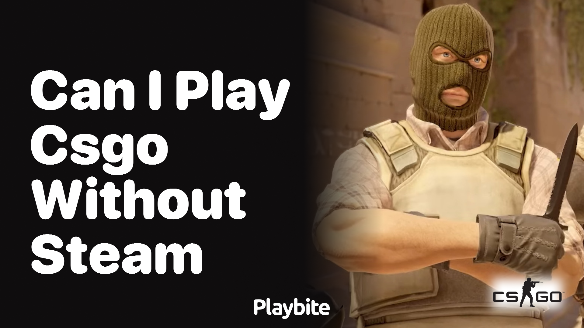 Can I play CS:GO without Steam?