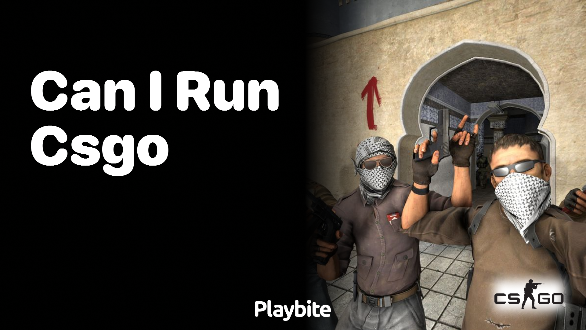 Can I run CS:GO on my computer?