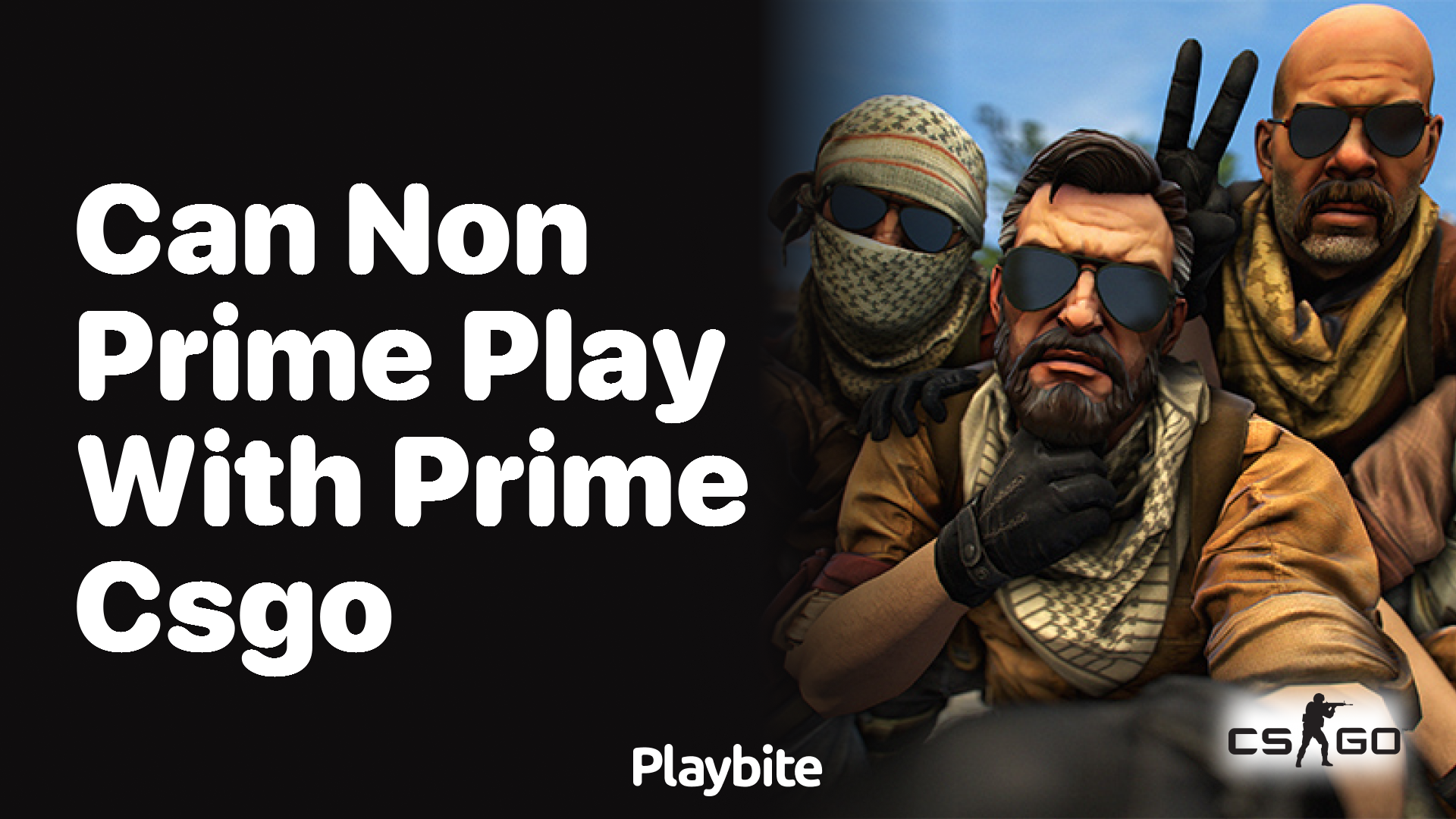 Can Non-Prime players play with Prime in CS:GO?