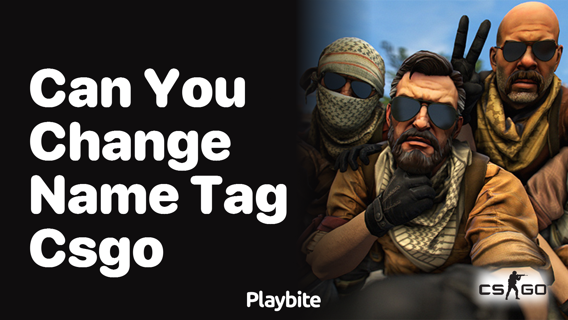 Can you change a name tag in CS:GO?