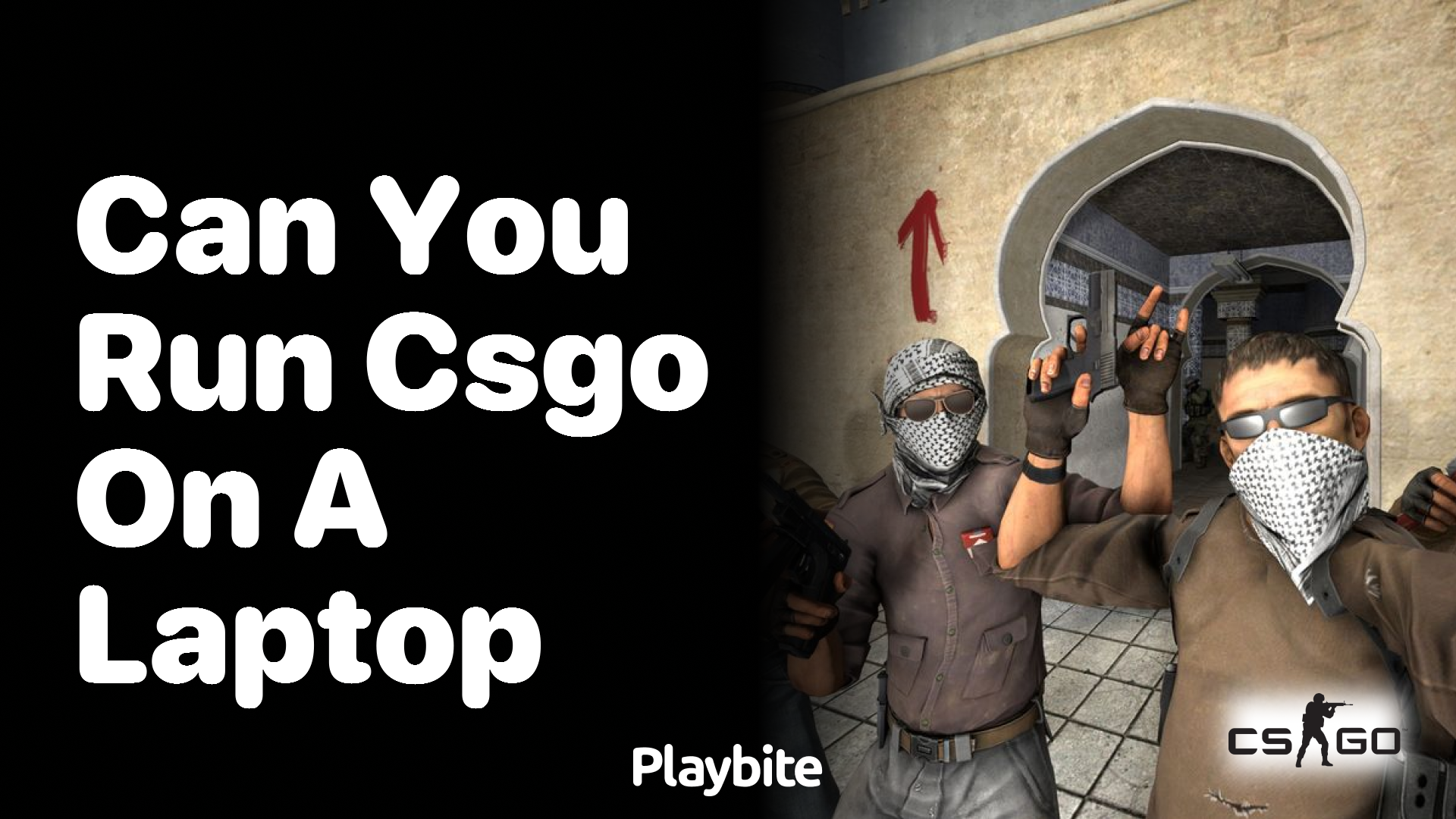 Can you run CS:GO on a laptop?