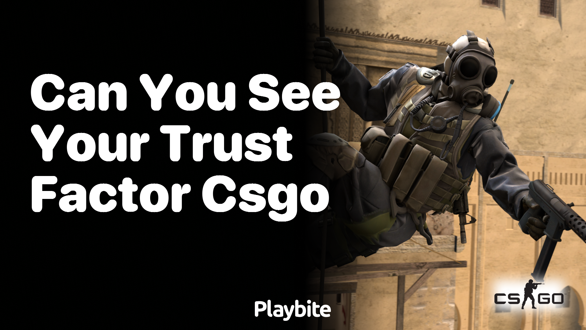 Can you see your Trust Factor in CS:GO?