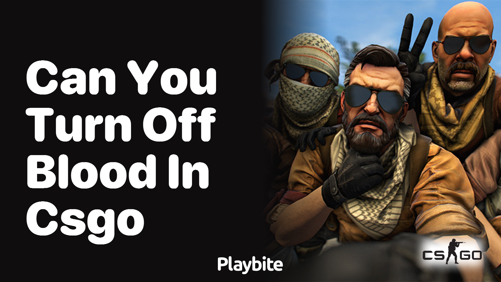 Can you turn off blood in CS:GO?