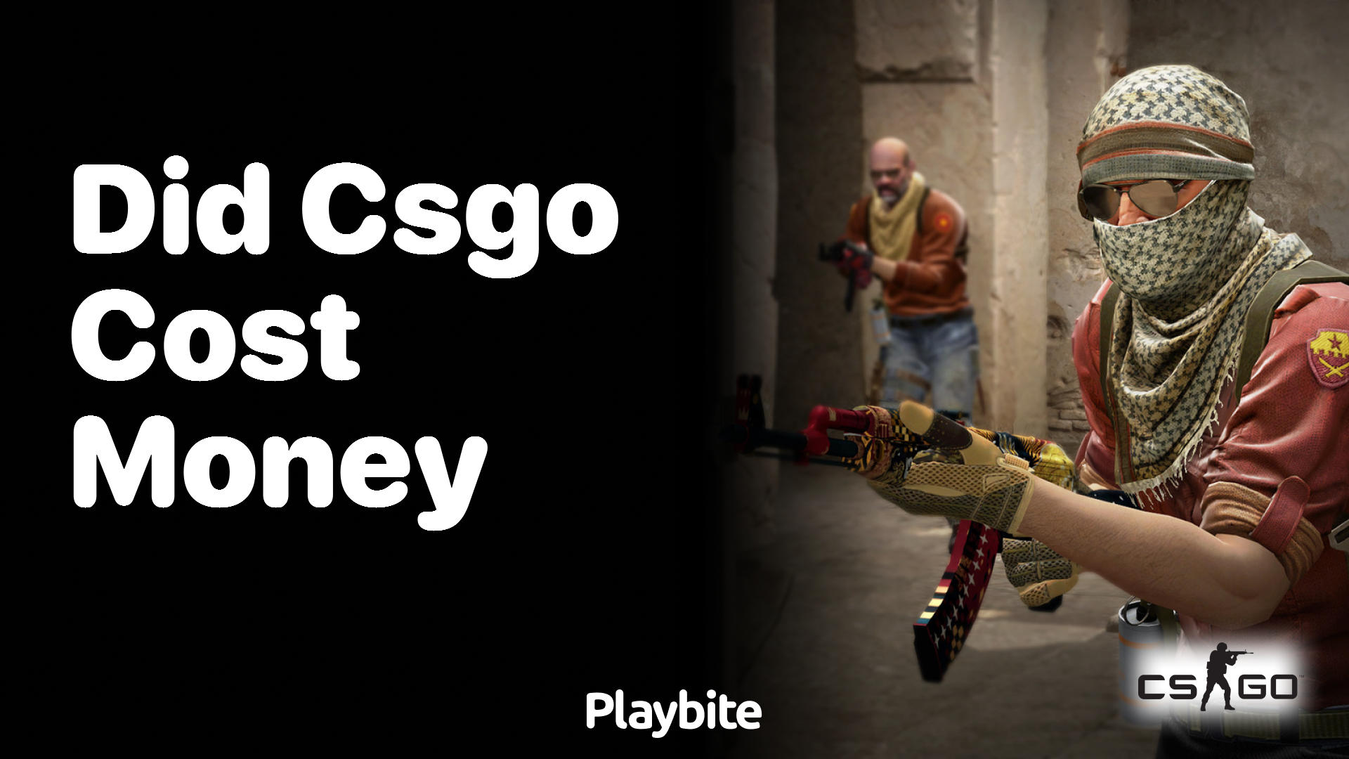 Did CS:GO cost money?