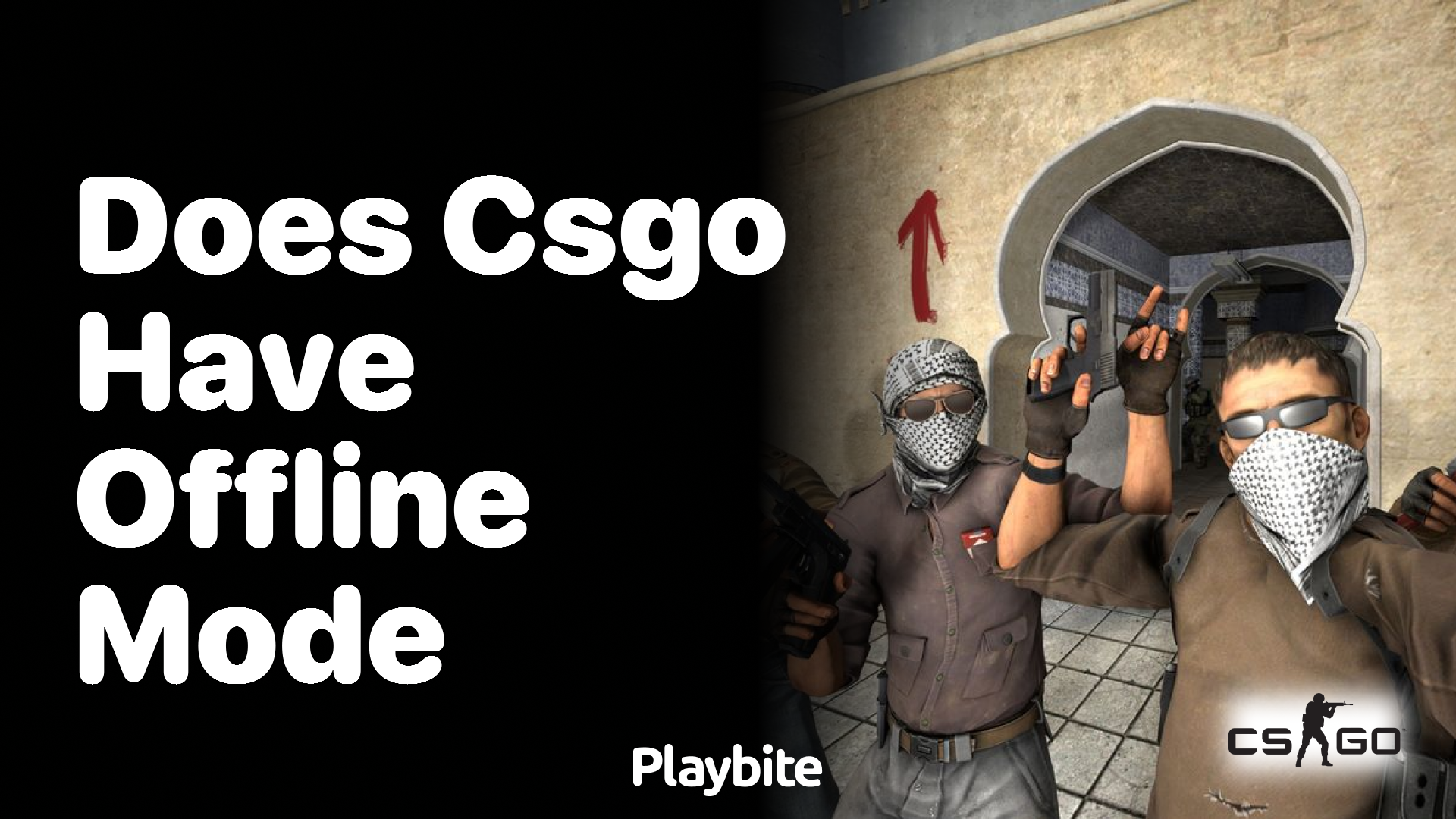 Does CS:GO have an offline mode?