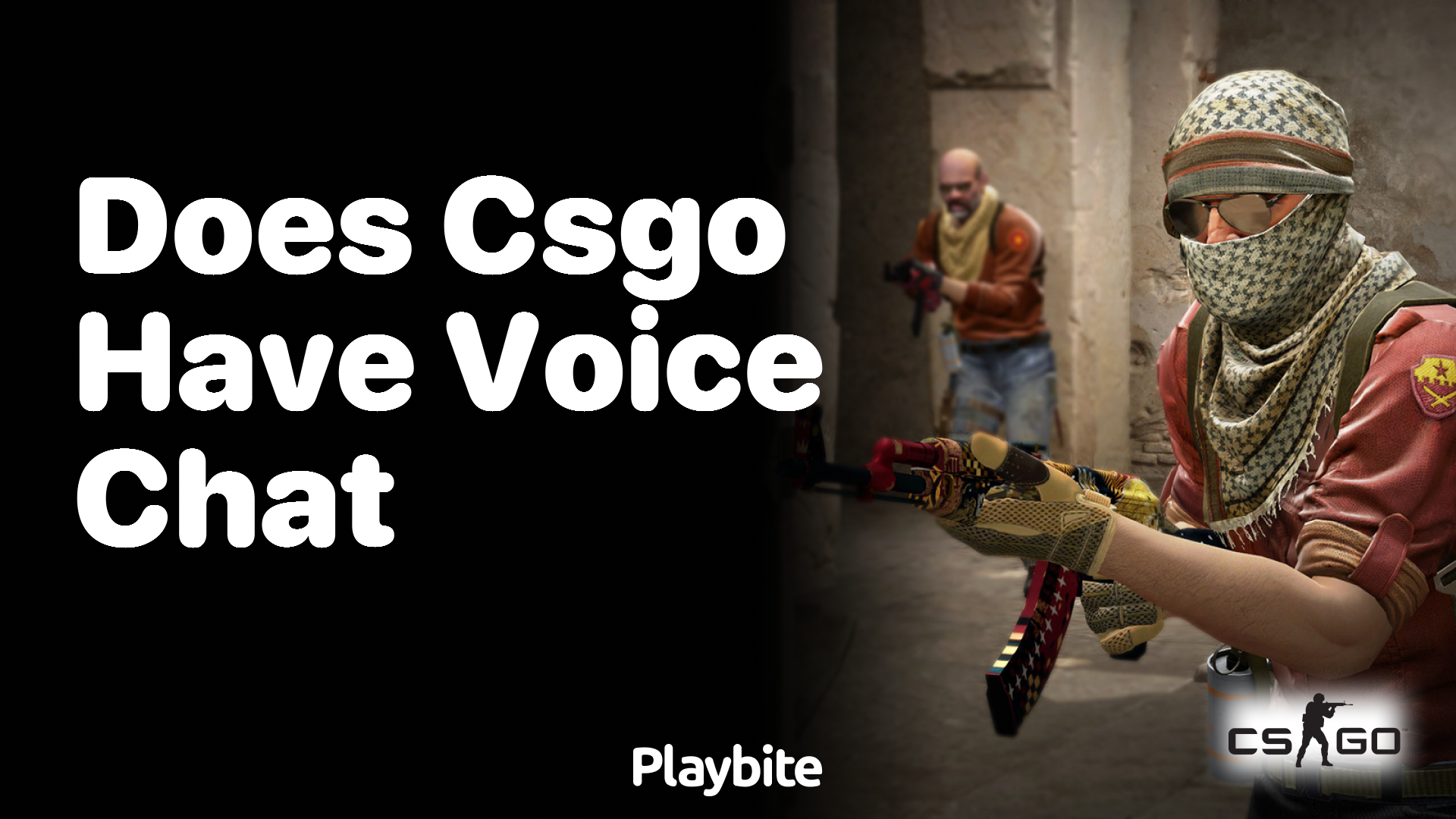 Does CS:GO have voice chat?