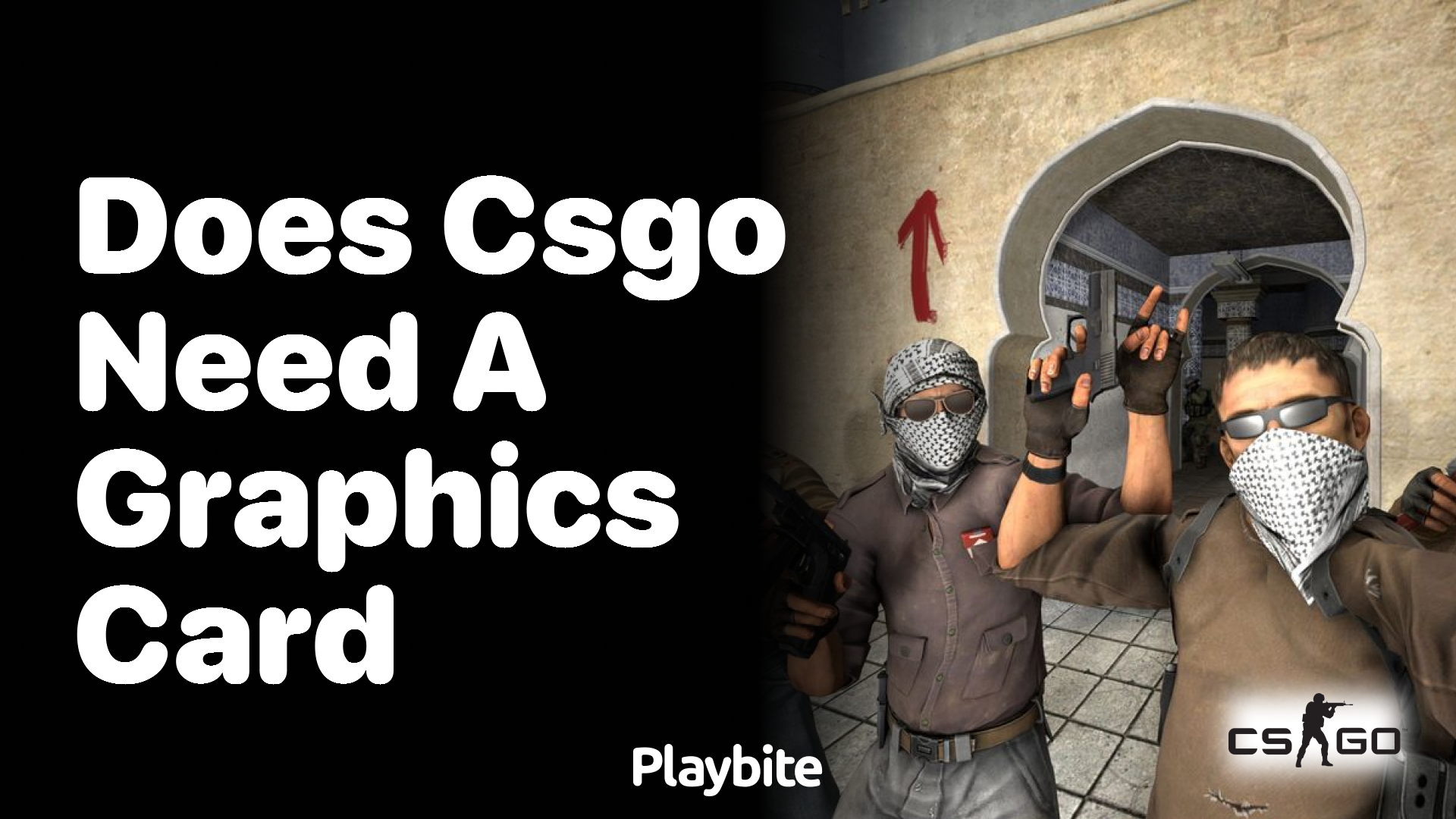 Does CSGO need a graphics card?