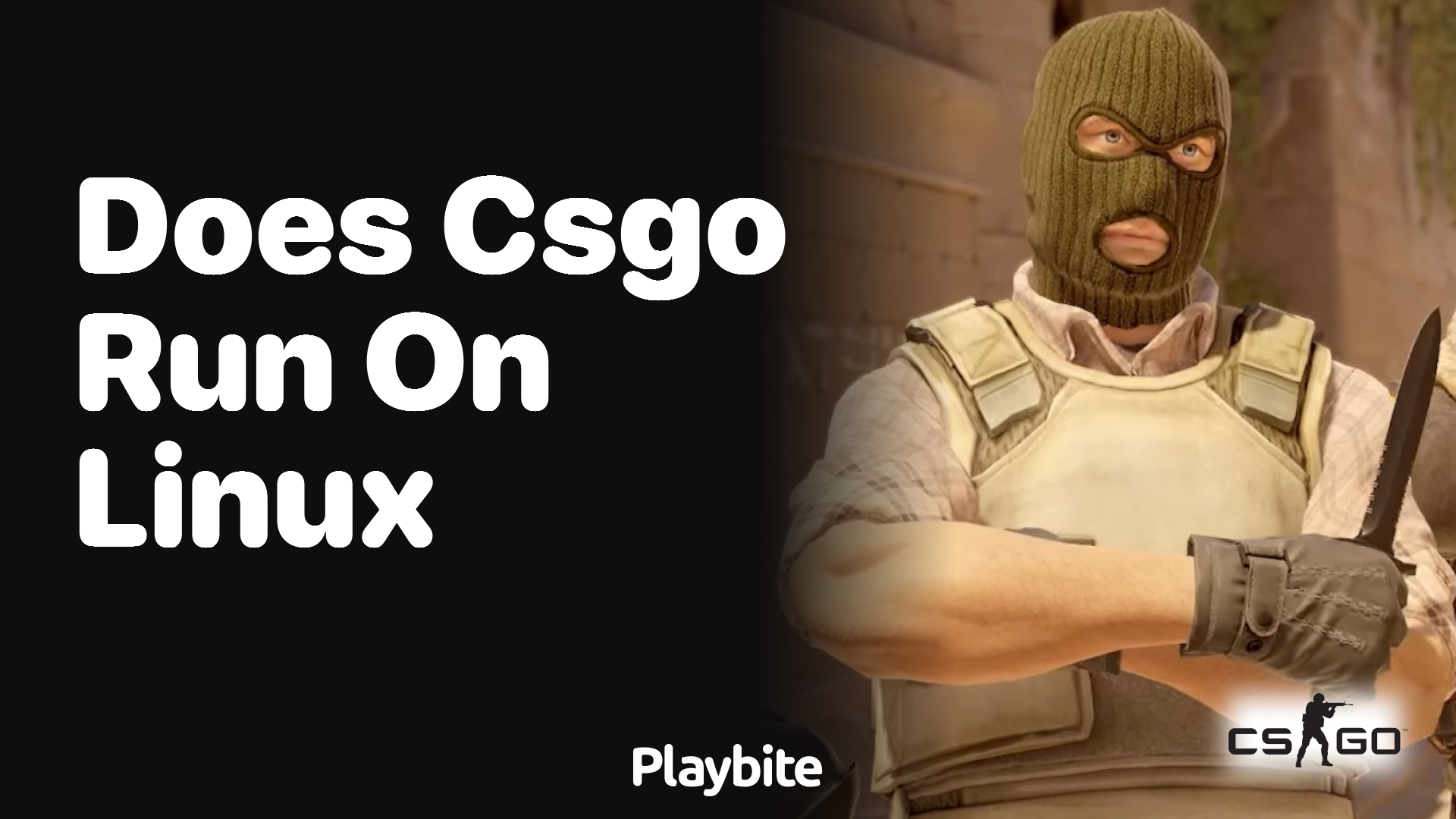 Does CS:GO run on Linux?