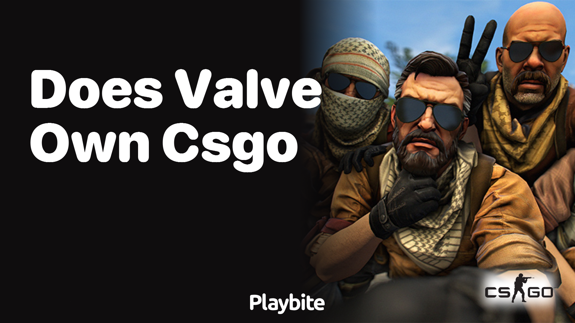 Does Valve own CS:GO?