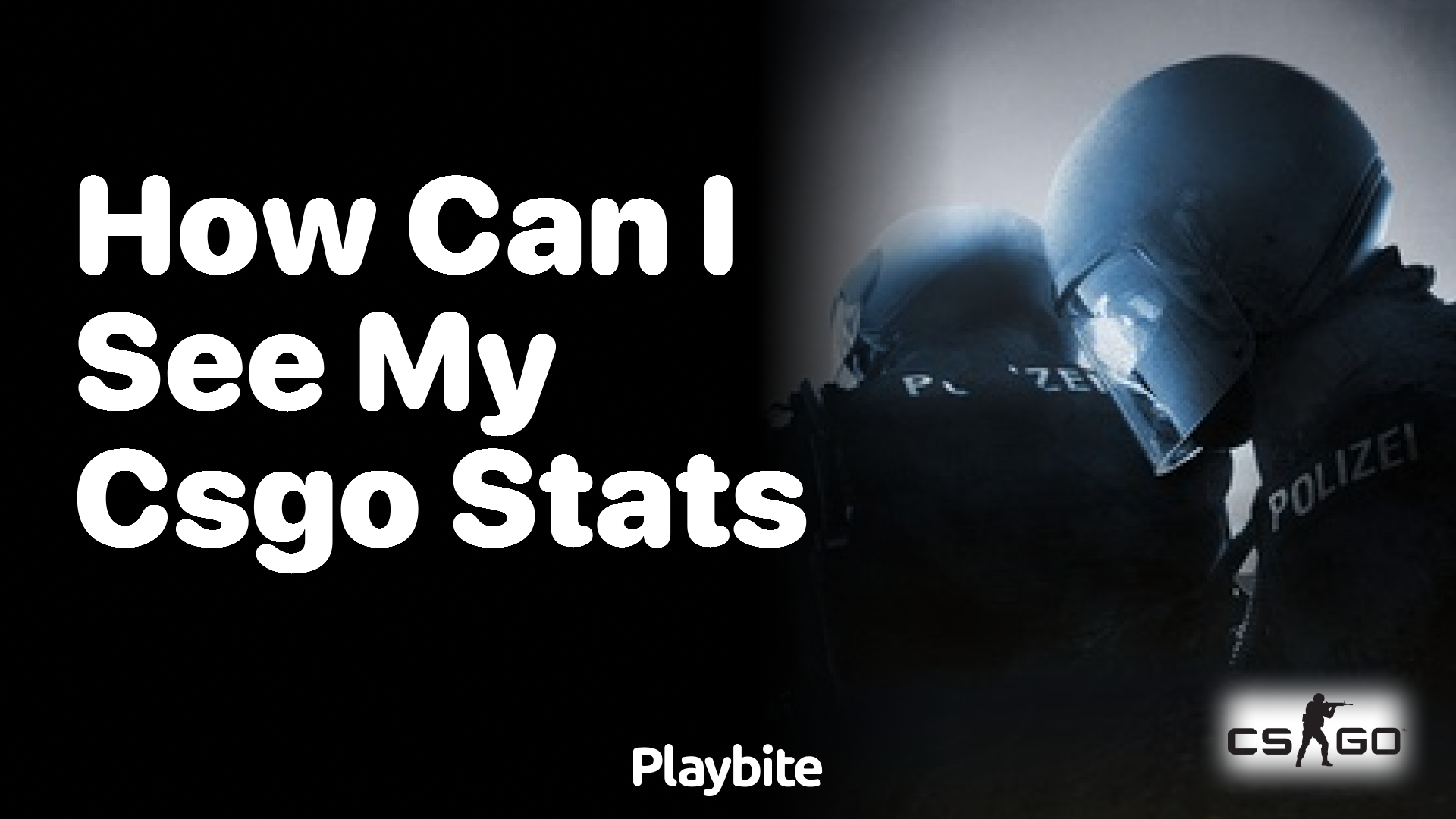 How can I see my CS:GO stats?