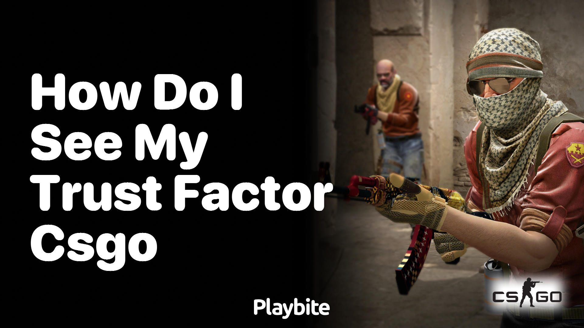 How do I see my Trust Factor in CS:GO?