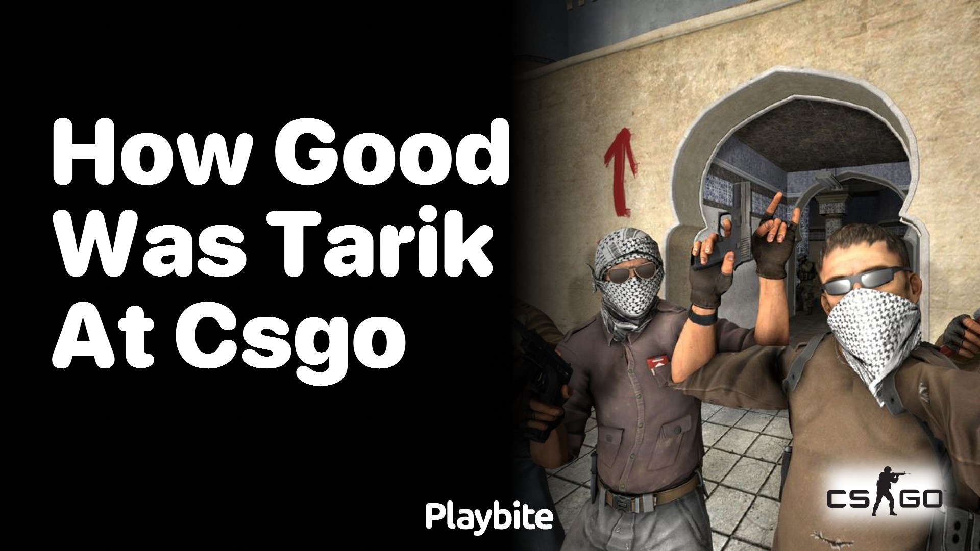 How good was Tarik at CS:GO?