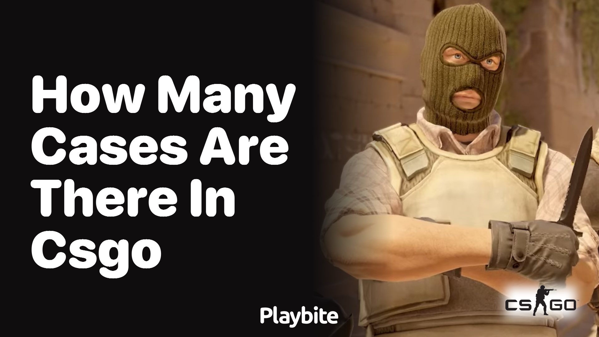 How many cases are there in CS:GO?